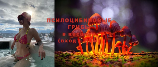 гидра Магадан